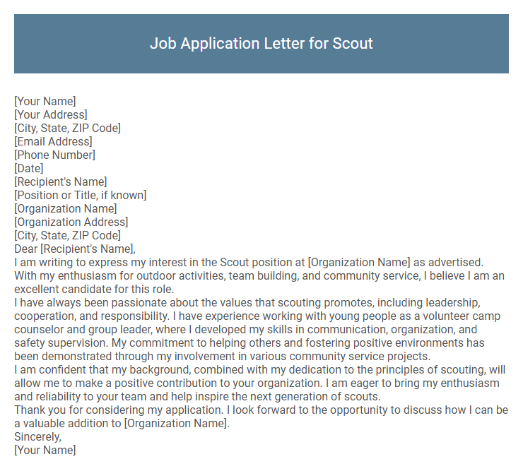 Job Application Letter for Scout