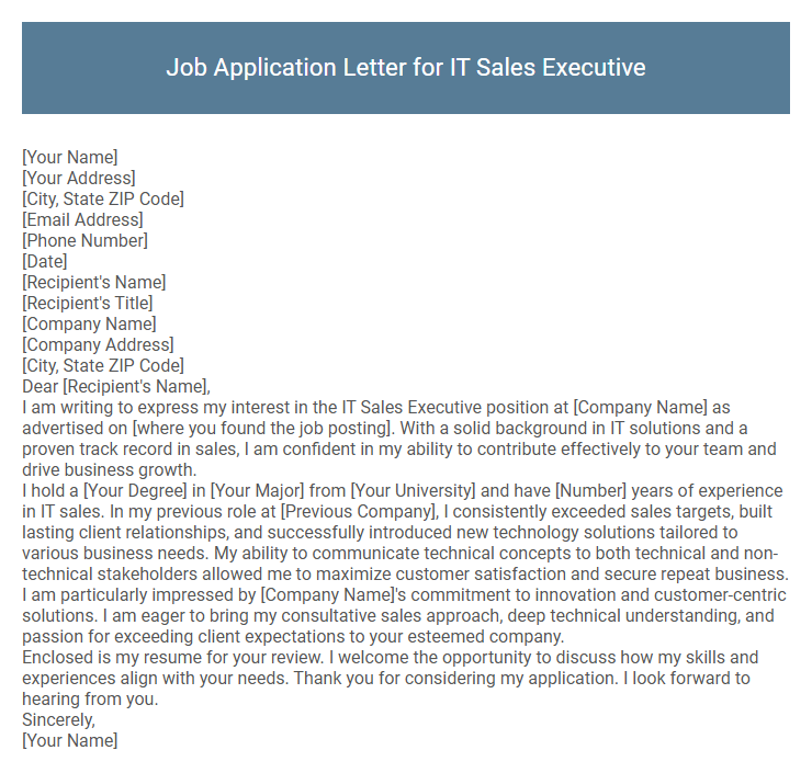 Job Application Letter for IT Sales Executive